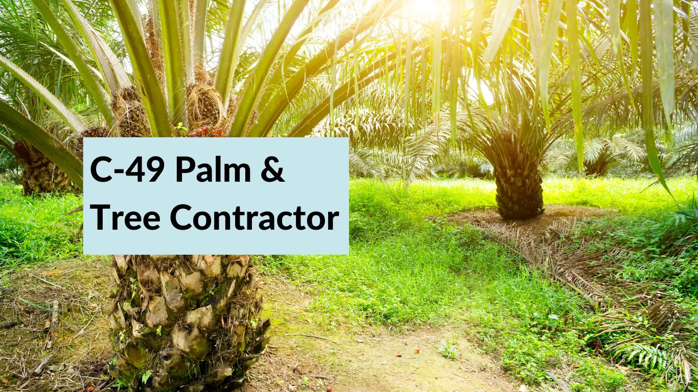 How to Obtain the New C-49 Palm and Tree Contractor License in California